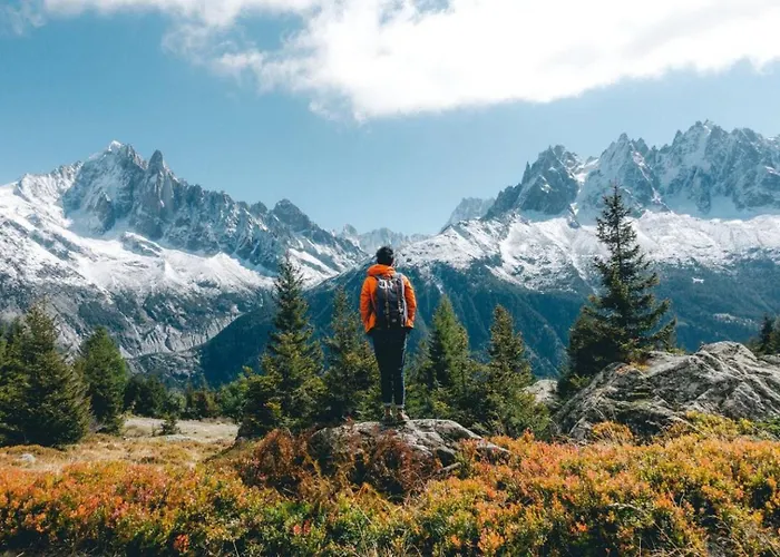 Appartement Lyret Centre Mont Blanc *