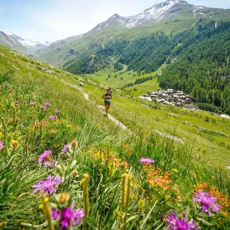 Lyret Centre Mont Blanc * شامونكس